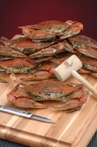 maryland Blue Crab season