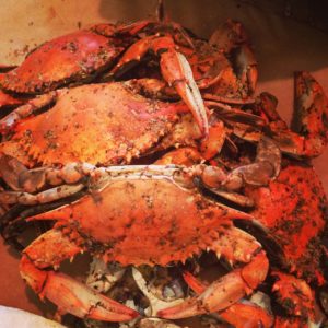 Learn about the differences between the four most popular crabs.
