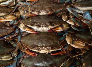 A stack of soft shell crabs